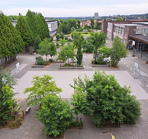 De buitenspeelruimte